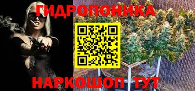 синтетический гашиш Заводоуковск