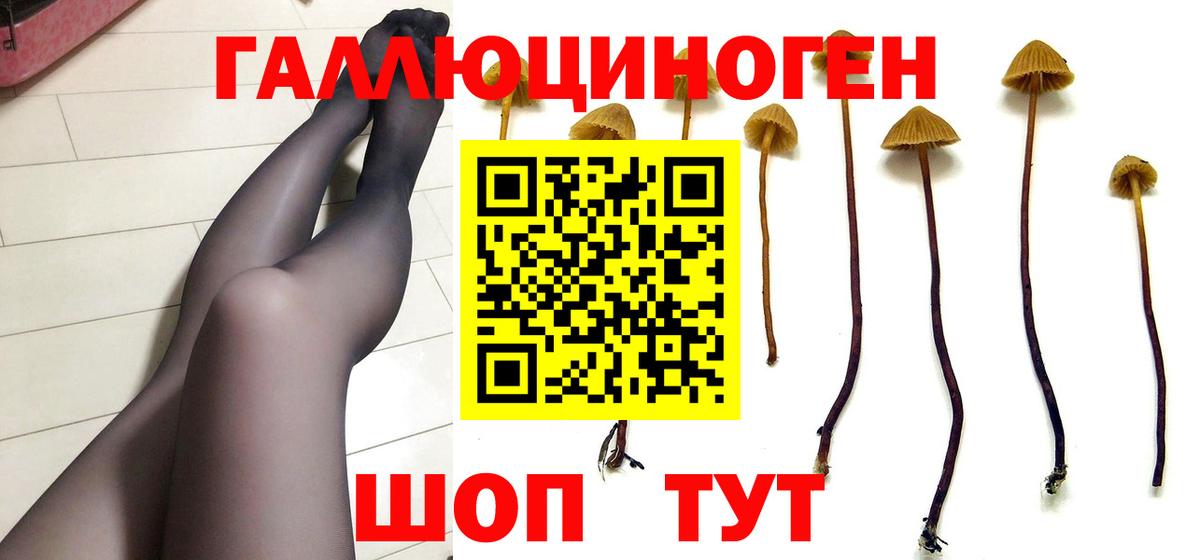 купить наркоту  Вход с VPN  Малгобек  Галлюциногенные грибы Psilocybe 